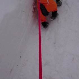 犬は喜び...の画像