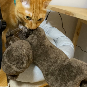 さいたま散歩の画像