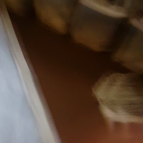 暗視スコープに興味津々のすなおの画像