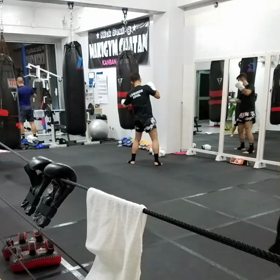 新メニュー‼の画像