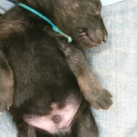 お腹いっぱい～♪の画像