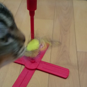 258.それぞれの・・の画像