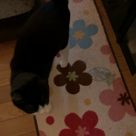 甘えん坊とだれだれー？の画像