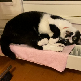 見・て・る……の画像