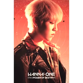 POWER OF DESTINY パクウジンの画像