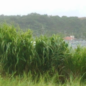 シリーズ☆事件は現場で起き ている2⃣の画像