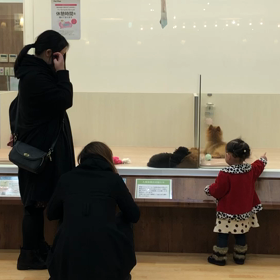 ”【日常】Merry Christmas✨” 2020年の想い出❤︎の画像