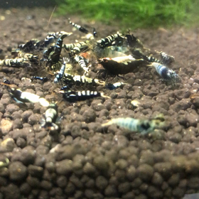 クラウドの画像