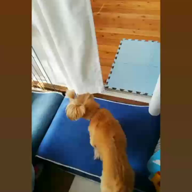 るんるん( ˘ ³˘)♥の画像