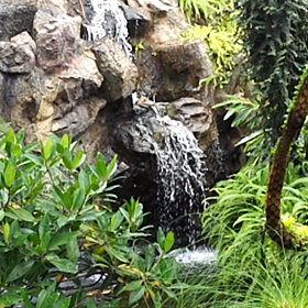 涼しさを送ります(>_<)の画像