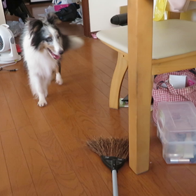 今日はまた暑いの画像