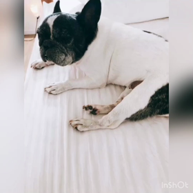 たべましたの画像