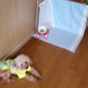 懐かしいの画像