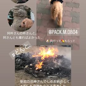 3kmも　歩いた‼️の画像