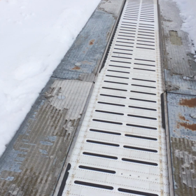 エーデルワイス(*´∀`)♪風景の画像