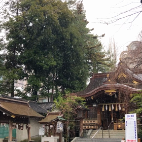 三月の雪の画像
