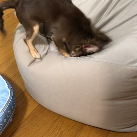 掘って掘ってまた掘っての画像