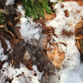 ご縁がありますよぉに！の画像