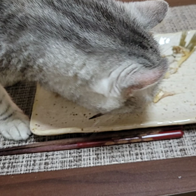 イシモチの画像