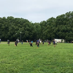 バランス・大股歩行⑮の画像