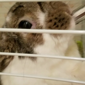 カフェのお得な情報！！の画像