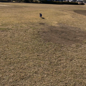 朝散歩♪の画像