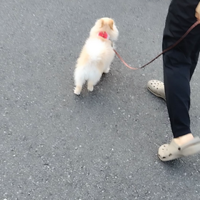 帰宅してますの画像