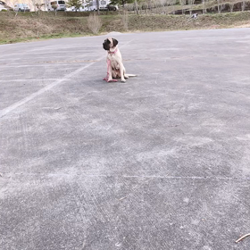 痛い番外編の画像