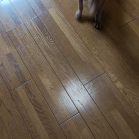 ルン　ルン　ルンの画像