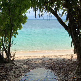 旅の魅力の画像