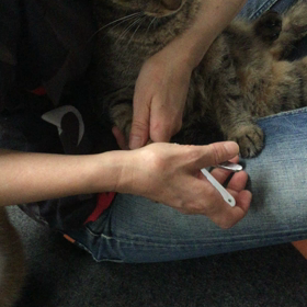 爪切り〜おかあちゃん編の画像