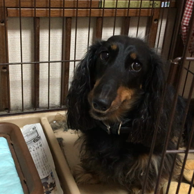 ポジション高めのお手wwの画像