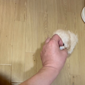 ❤️決まりました❤️ピアノちゃん❤️動画❤️の画像