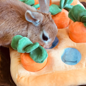 そんなに焦らないでも…の画像