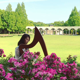 台風の強制撤去の画像