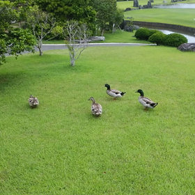 お散歩♡の画像