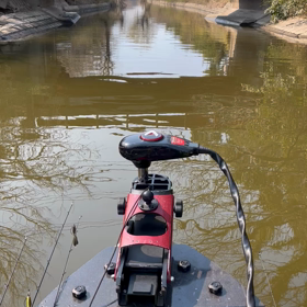 将監川釣行‼️の画像