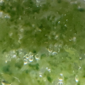 ピントが…の画像