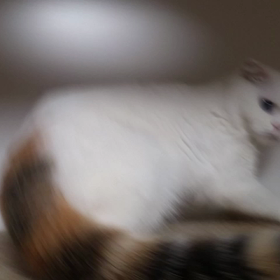 いや～んの画像