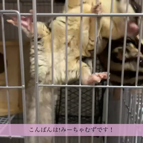 見に来てください!!!!!の画像