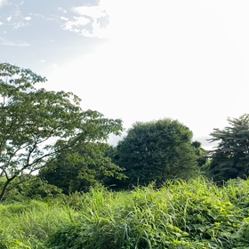 “自然と音遊び” プロジェクト vol.075！の画像