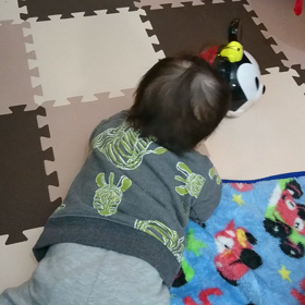 ずりばい特訓中の画像