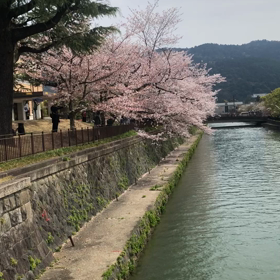 入学式の画像