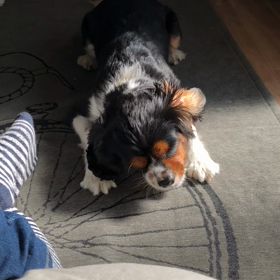 ■息子との平凡な動画！■の画像