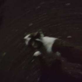 おはようの画像