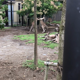 仁義なき戦いの画像