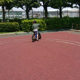 子供が自転車に５分で乗る方法　　パパママ必見！！の画像
