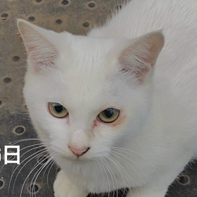 ぜいたくな日々の画像