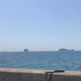 中島ライブ撮影音楽の画像