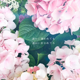 別れがきたらの画像